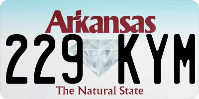 AR license plate 229KYM