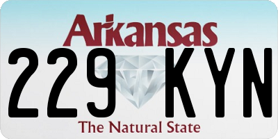 AR license plate 229KYN