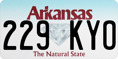 AR license plate 229KYO