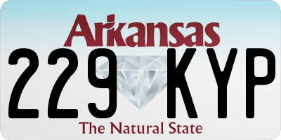 AR license plate 229KYP