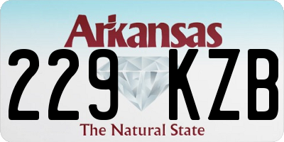 AR license plate 229KZB