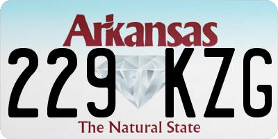 AR license plate 229KZG