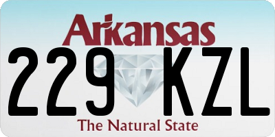 AR license plate 229KZL