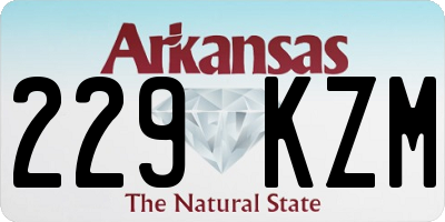 AR license plate 229KZM