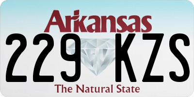AR license plate 229KZS