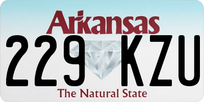 AR license plate 229KZU