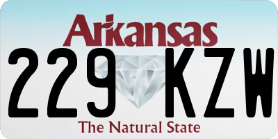 AR license plate 229KZW