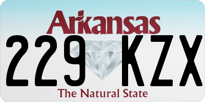 AR license plate 229KZX