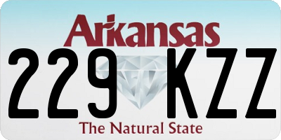 AR license plate 229KZZ