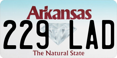 AR license plate 229LAD