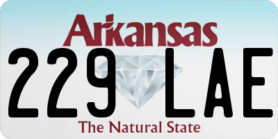 AR license plate 229LAE