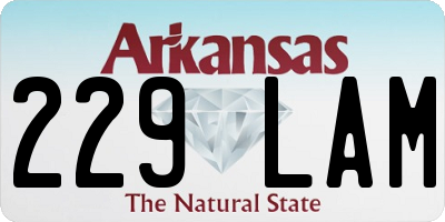 AR license plate 229LAM