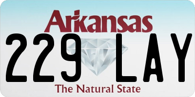 AR license plate 229LAY