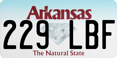 AR license plate 229LBF