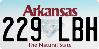 AR license plate 229LBH