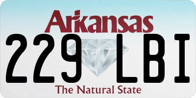 AR license plate 229LBI
