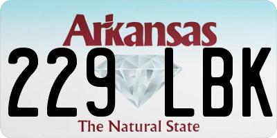 AR license plate 229LBK