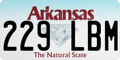 AR license plate 229LBM