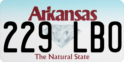 AR license plate 229LBO