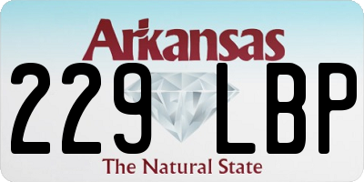 AR license plate 229LBP