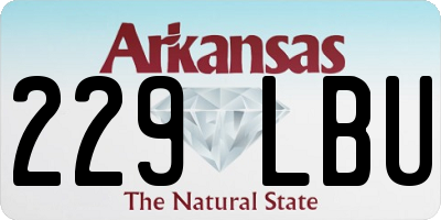 AR license plate 229LBU