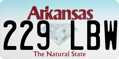 AR license plate 229LBW