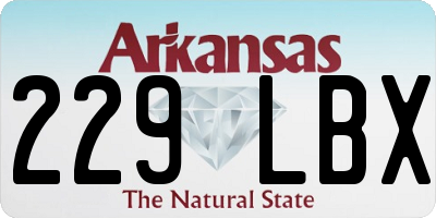 AR license plate 229LBX