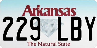 AR license plate 229LBY