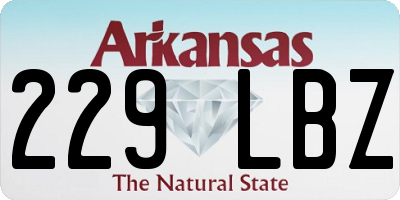 AR license plate 229LBZ
