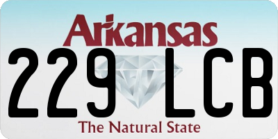 AR license plate 229LCB