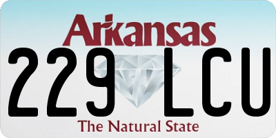 AR license plate 229LCU