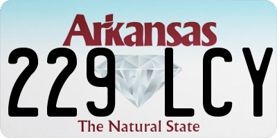 AR license plate 229LCY