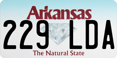 AR license plate 229LDA