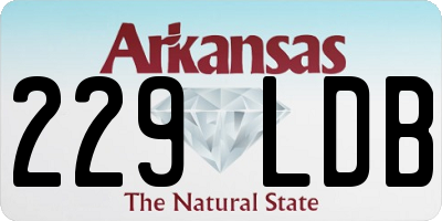 AR license plate 229LDB