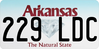 AR license plate 229LDC