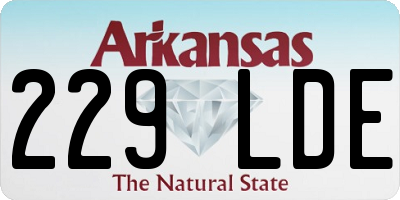 AR license plate 229LDE