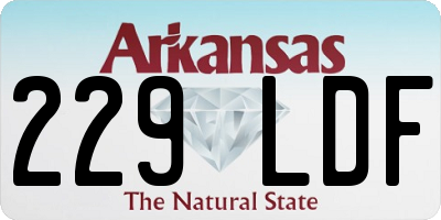 AR license plate 229LDF