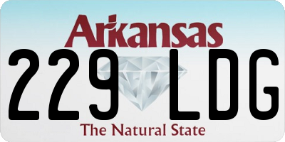 AR license plate 229LDG