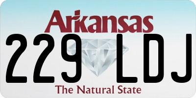 AR license plate 229LDJ
