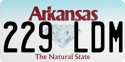 AR license plate 229LDM