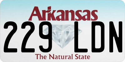 AR license plate 229LDN