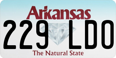 AR license plate 229LDO