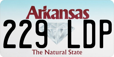 AR license plate 229LDP
