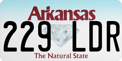 AR license plate 229LDR