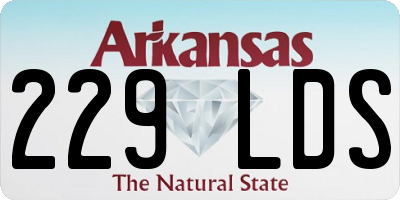 AR license plate 229LDS