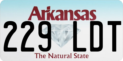 AR license plate 229LDT