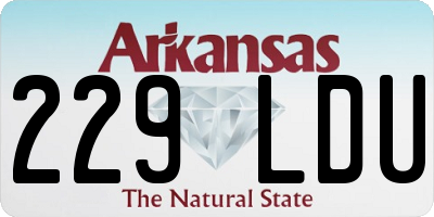AR license plate 229LDU