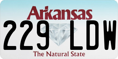 AR license plate 229LDW