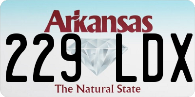 AR license plate 229LDX