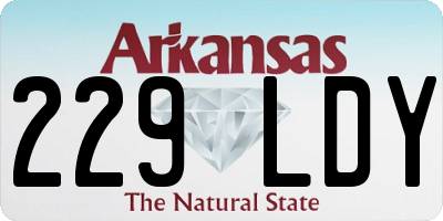 AR license plate 229LDY